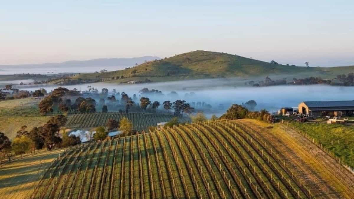 Cover for article called "Exploring Victoria's Hidden Gems: Weekend Trips and Daytrips Away from Melbourne" Cover for article called "Exploring Victoria's Hidden Gems: Weekend Trips and Daytrips Away from Melbourne"